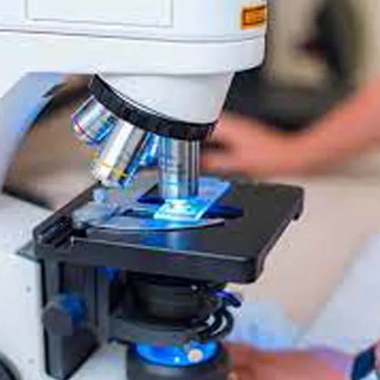 Polarized Microscopy